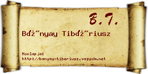 Bányay Tibériusz névjegykártya